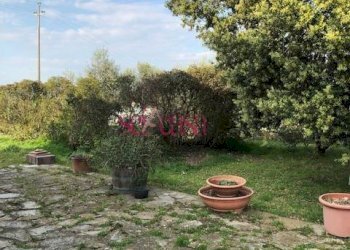 Foto 11 - Rustico Magliano in Toscana - foto 11