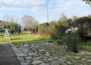 Foto 13 - Rustico Magliano in Toscana - foto 13