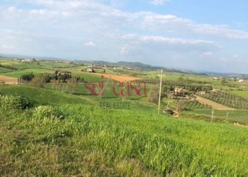 Foto 14 - Rustico Magliano in Toscana - foto 14