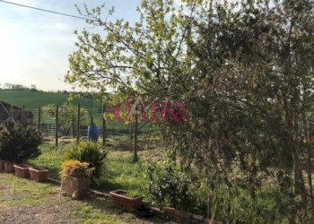 Foto 17 - Rustico Magliano in Toscana - foto 17