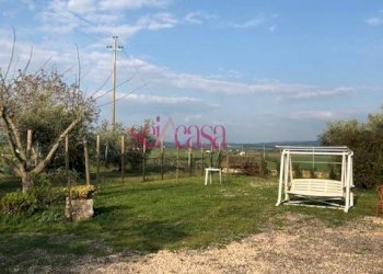 Foto 18 - Rustico Magliano in Toscana - foto 18