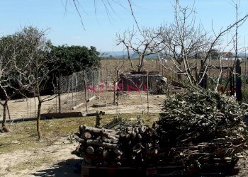 Foto 23 - Rustico Grosseto - foto 23