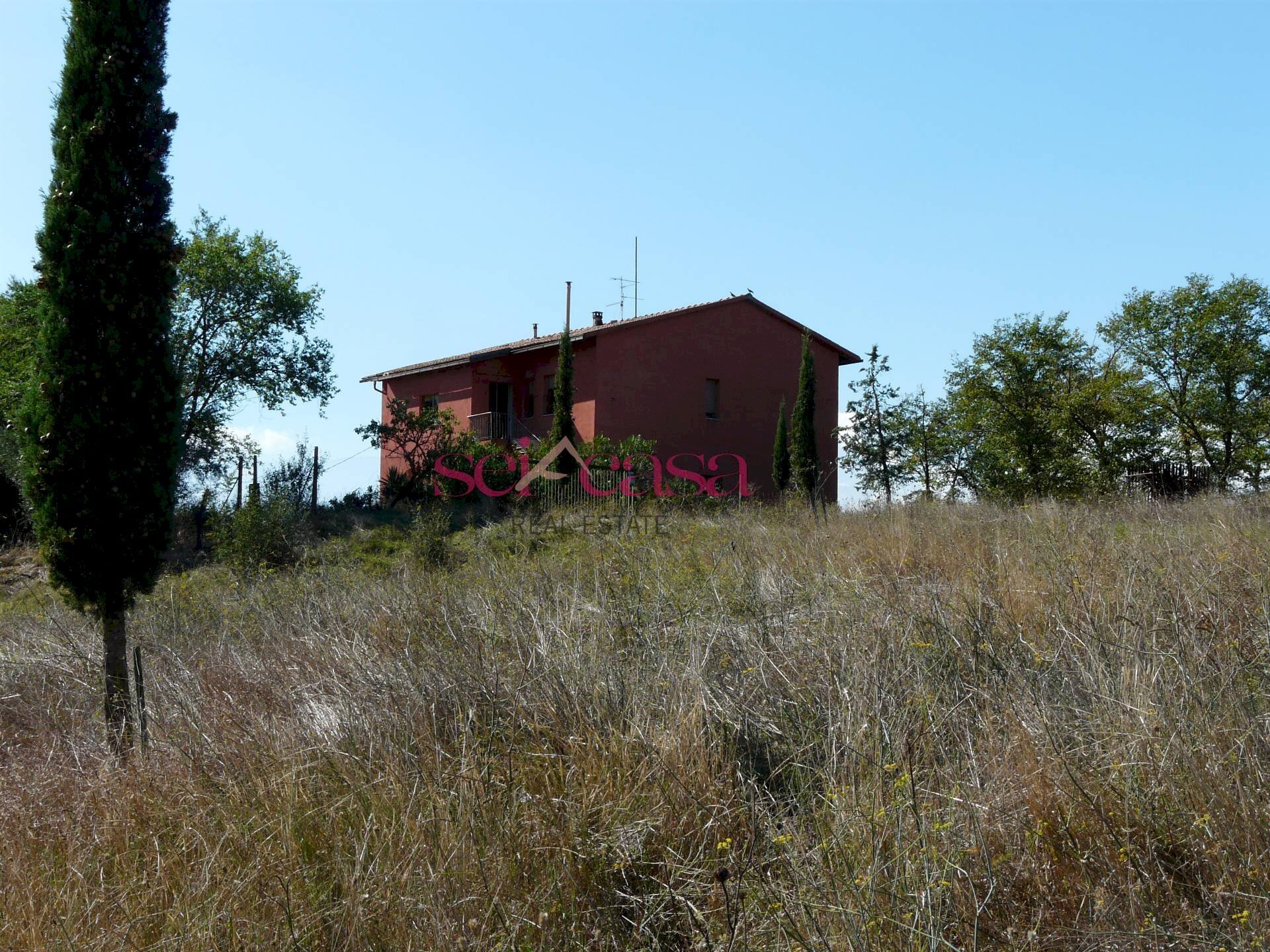 Foto 3 - Azienda agricola Cinigiano - foto 3