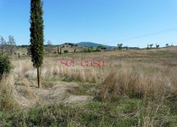 Foto 1 - Azienda agricola Cinigiano - foto 1