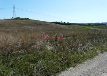 Foto 2 - Azienda agricola Cinigiano - foto 2