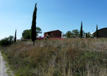 Foto 4 - Azienda agricola Cinigiano - foto 4