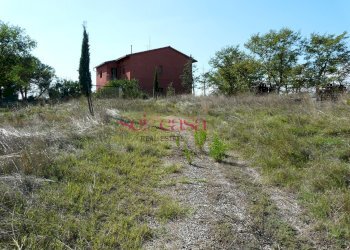 Foto 15 - Azienda agricola Cinigiano - foto 15