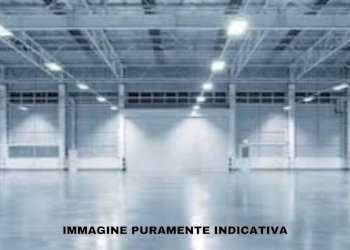 Interno non residenziale - Capannone Borgo San Martino, Bra - foto 2