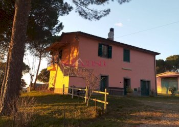 Foto 1 - Agriturismo Magliano in Toscana - foto 1