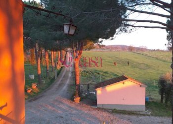 Foto 3 - Agriturismo Magliano in Toscana - foto 3