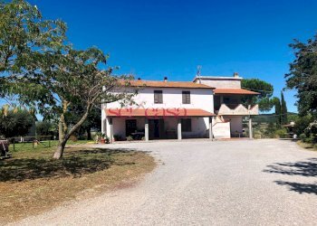 Foto 2 - Agriturismo Magliano in Toscana - photo 2