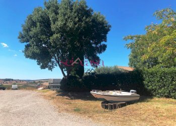 Foto 7 - Agriturismo Magliano in Toscana - photo 7