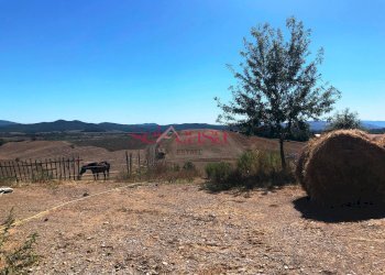 Foto 12 - Agriturismo Magliano in Toscana - photo 12