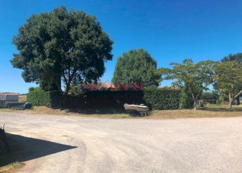 Foto 15 - Agriturismo Magliano in Toscana - photo 15