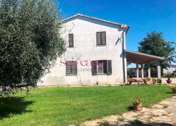 Foto 18 - Agriturismo Magliano in Toscana - photo 18