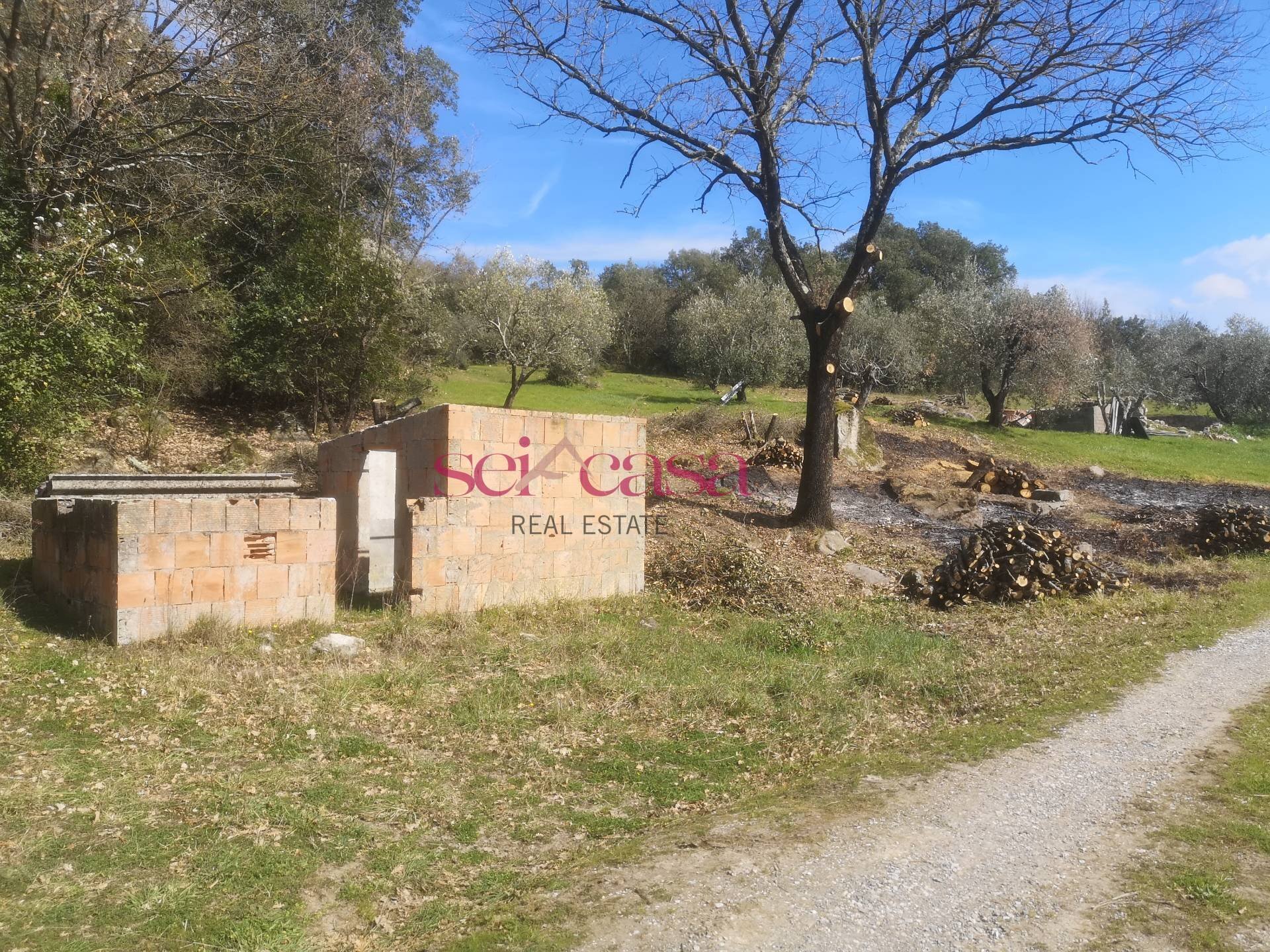 Foto 2 - Rustico Roccastrada - foto 2