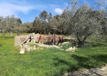 Foto 4 - Rustico Roccastrada - foto 4