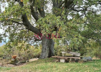 Foto 23 - Rustico Arcidosso - foto 23