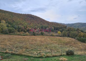 Foto 24 - Rustico Arcidosso - foto 24