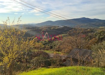 Foto 16 - Trilocale Campagnatico - foto 16