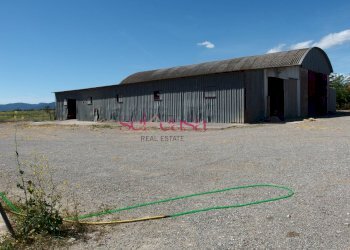 Foto 21 - Agriturismo Grosseto - photo 21