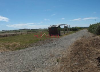 Foto 22 - Agriturismo Grosseto - photo 22