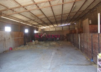 Foto 26 - Agriturismo Grosseto - photo 26