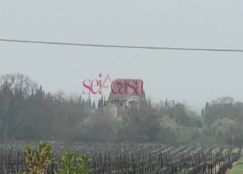 Foto 3 - Rustico Magliano in Toscana - foto 3