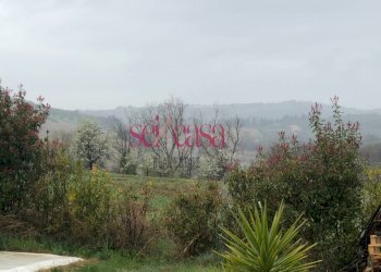 Foto 8 - Rustico Magliano in Toscana - foto 8