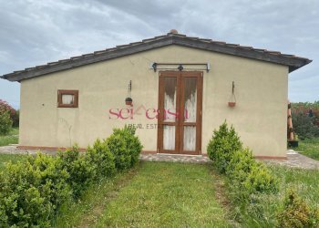 Foto 17 - Rustico Magliano in Toscana - foto 17