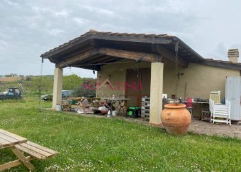 Foto 18 - Rustico Magliano in Toscana - foto 18