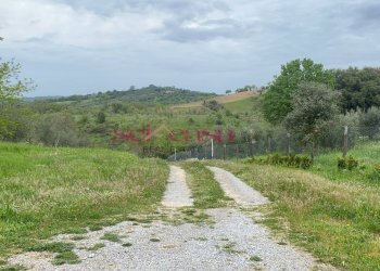 Foto 21 - Rustico Magliano in Toscana - foto 21