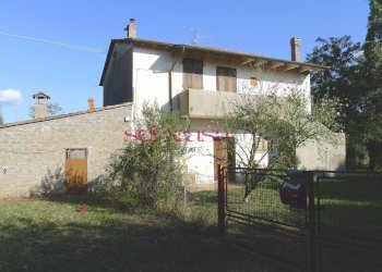 Foto 2 - Rustico Scansano - foto 2