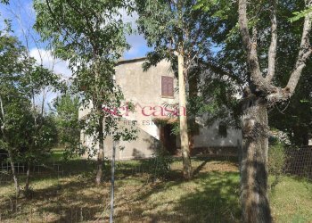 Foto 3 - Rustico Scansano - foto 3