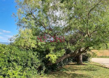 Foto 18 - Quadrilocale Campagnatico - foto 18