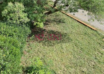 Foto 19 - Quadrilocale Campagnatico - foto 19