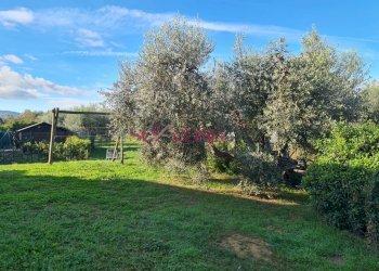 Foto 24 - Villa Grosseto - foto 24