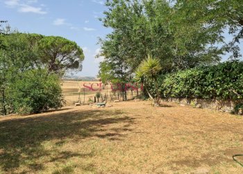 Foto 17 - Rustico Roccastrada - foto 17