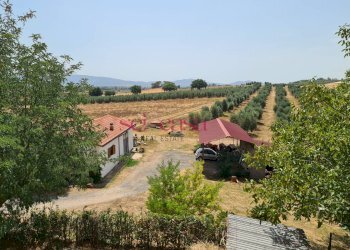 Foto 39 - Rustico Roccastrada - foto 39