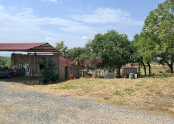 Foto 40 - Rustico Roccastrada - foto 40