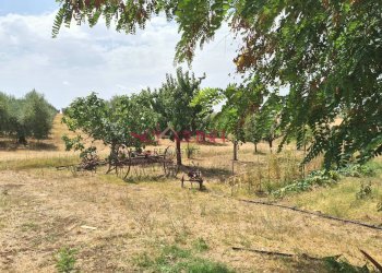 Foto 46 - Rustico Roccastrada - foto 46