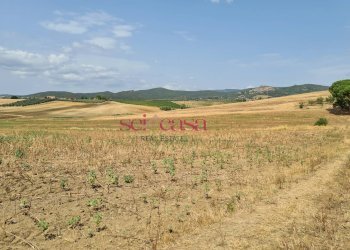 Foto 47 - Rustico Roccastrada - foto 47