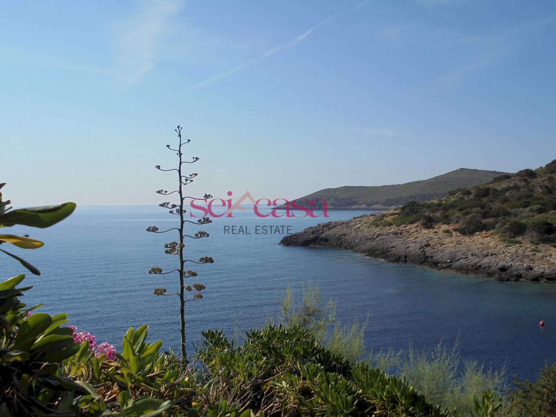 Foto 2 - Bilocale Isola del Giglio - foto 2