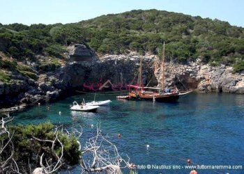 Foto 19 - Bilocale Isola del Giglio - foto 19