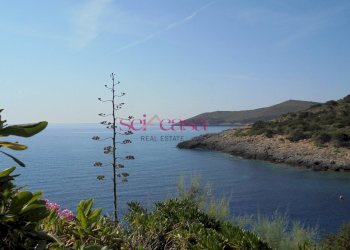 Foto 2 - Bilocale Isola del Giglio - foto 2