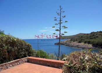 Foto 3 - Bilocale Isola del Giglio - foto 3