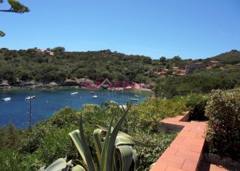 Foto 5 - Bilocale Isola del Giglio - foto 5