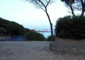 Foto 18 - Bilocale Isola del Giglio - foto 18