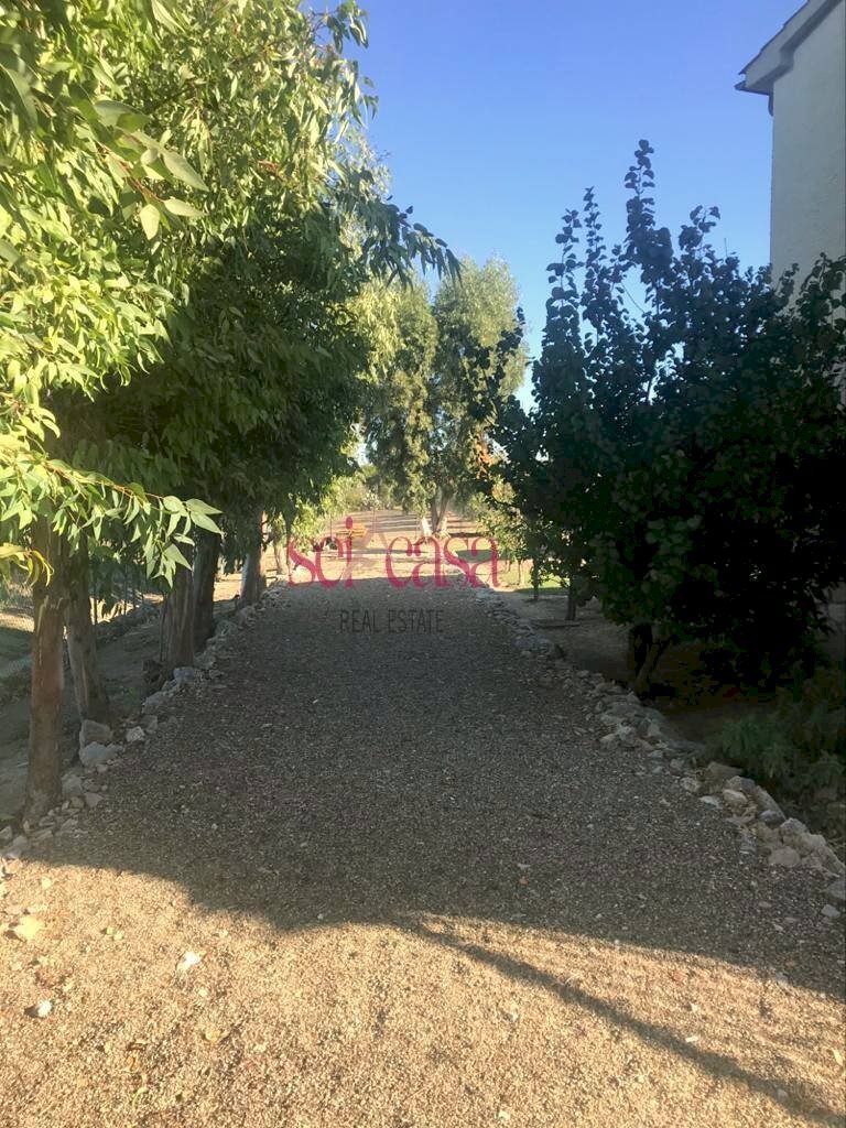 Foto 3 - Independent house Grosseto - photo 3