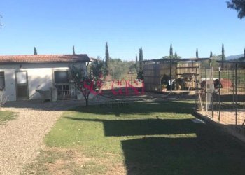 Foto 4 - Casa indipendente Grosseto - foto 4